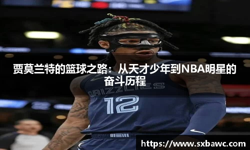 好博体育登陆人口